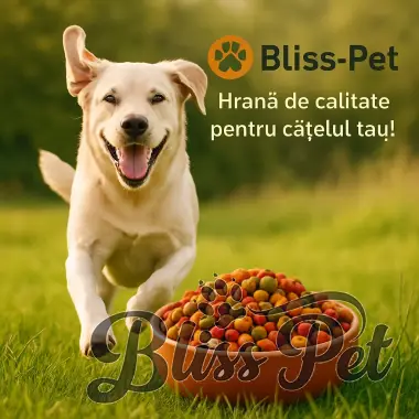 Cum Alegi Hrana Potrivită pentru Cățelul Tău? 🐶