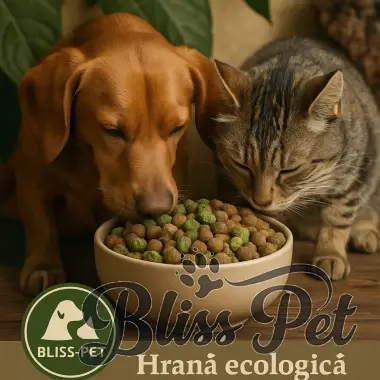 De Ce să Alegi Hrana Ecologică pentru Animalul Tău de Companie? 🌍
